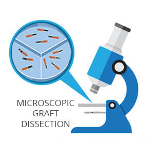 FUE Microscopic Graft Dissection