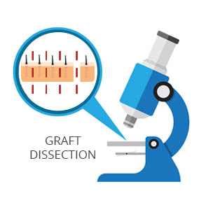 FUT Graft Dissection